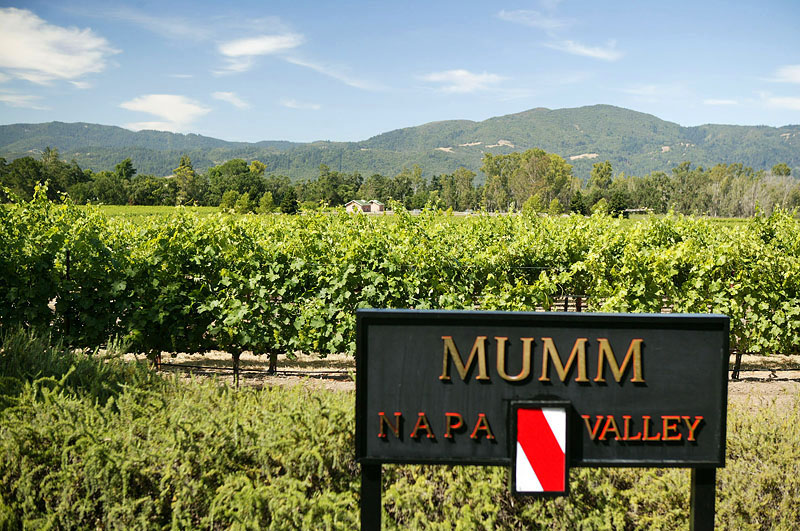 10.00 am and we are tasting some fine sparkling wine while enjoying a lovely backyard. The Second Napa drive, Jun 04 (photo: Macfly)